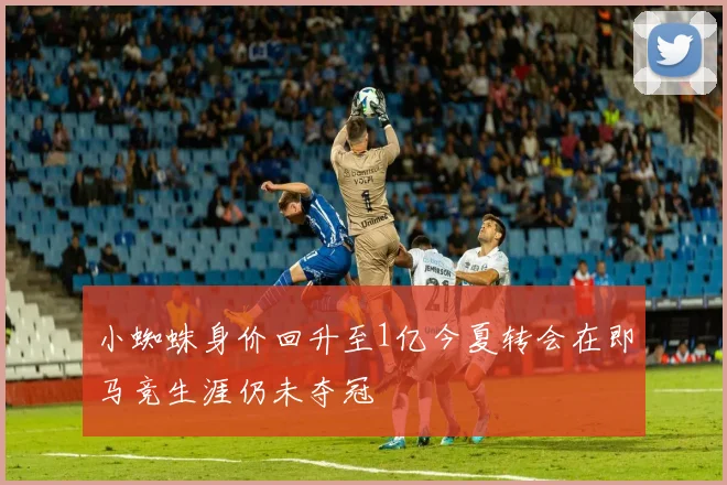小蜘蛛身价回升至1亿今夏转会在即马竞生涯仍未夺冠